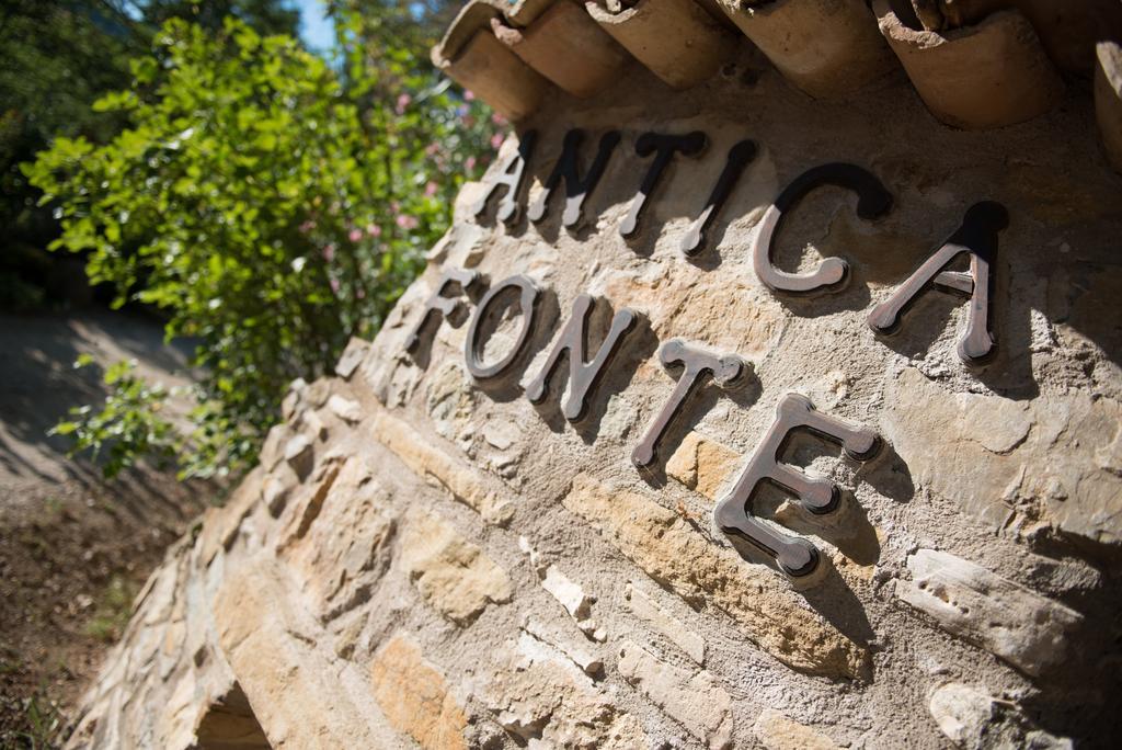 Penzion Antica Fonte Assisi Exteriér fotografie